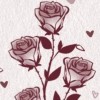 一口蛋黄苏.