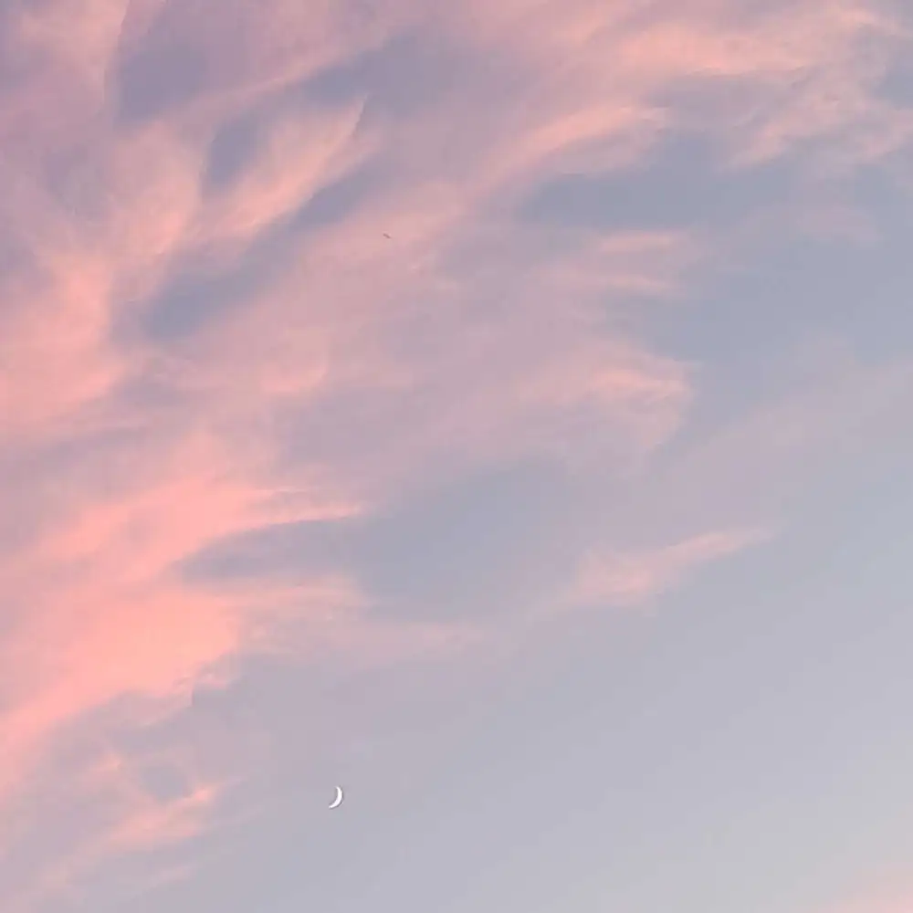 爱