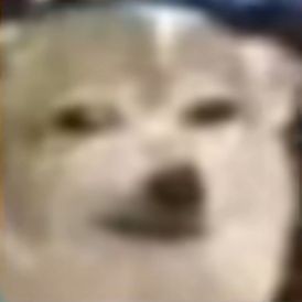 Category :ギャグアルバム