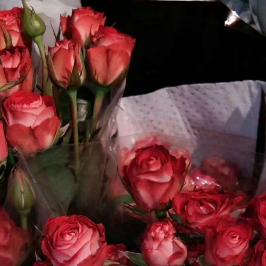 少年是最美的阳光