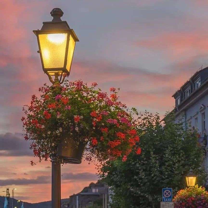 じòぴé 梅⃰子⃰茶⃰的专辑