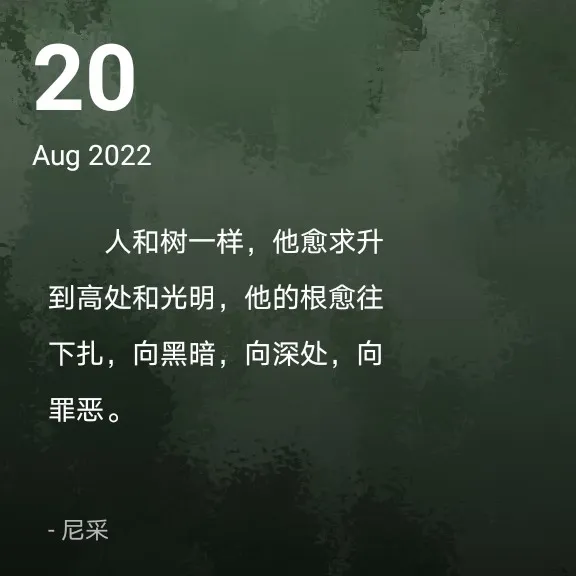 一半白色