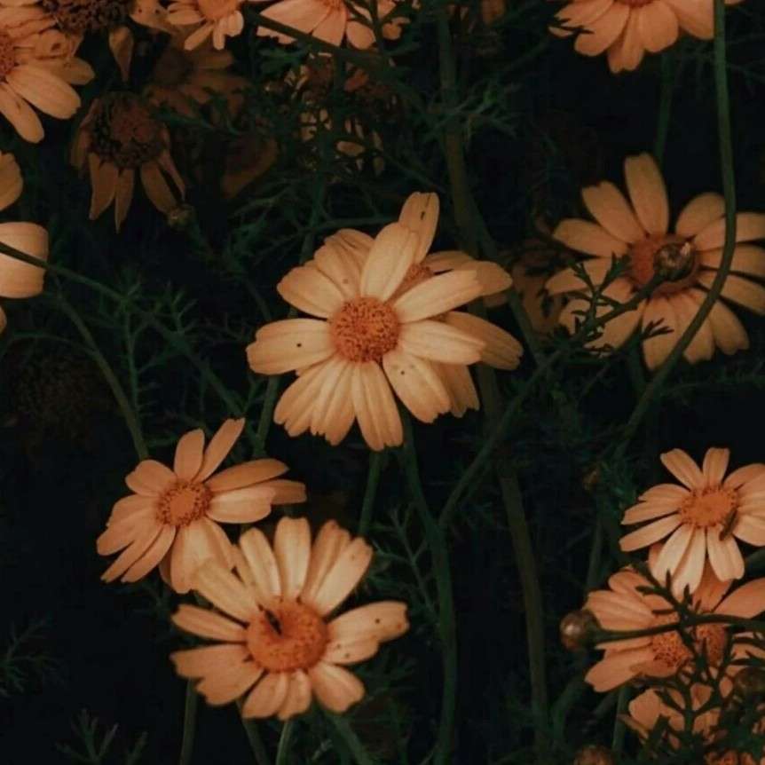 尾巷人志在四方.