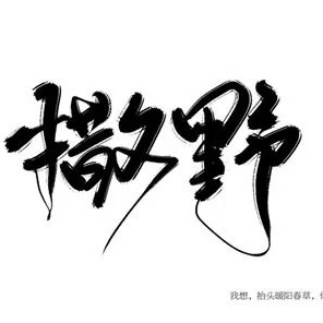 馨颖飞翔的专辑