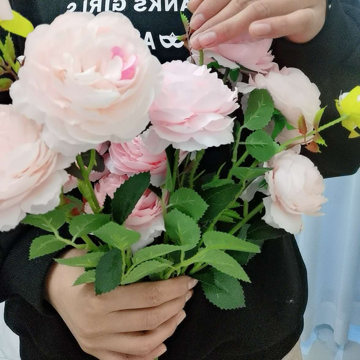 感情需要理性还是感性?