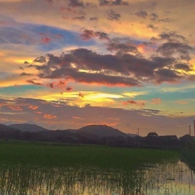 《国民影帝暗恋我》——十里酒香