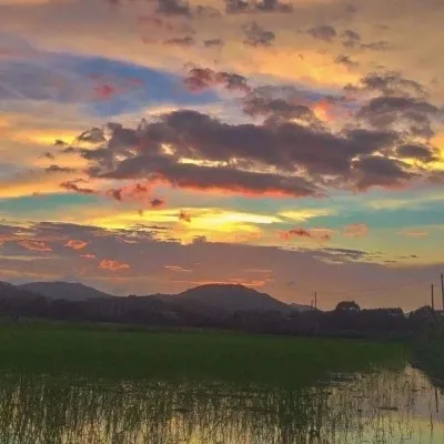 《国民影帝暗恋我》——十里酒香