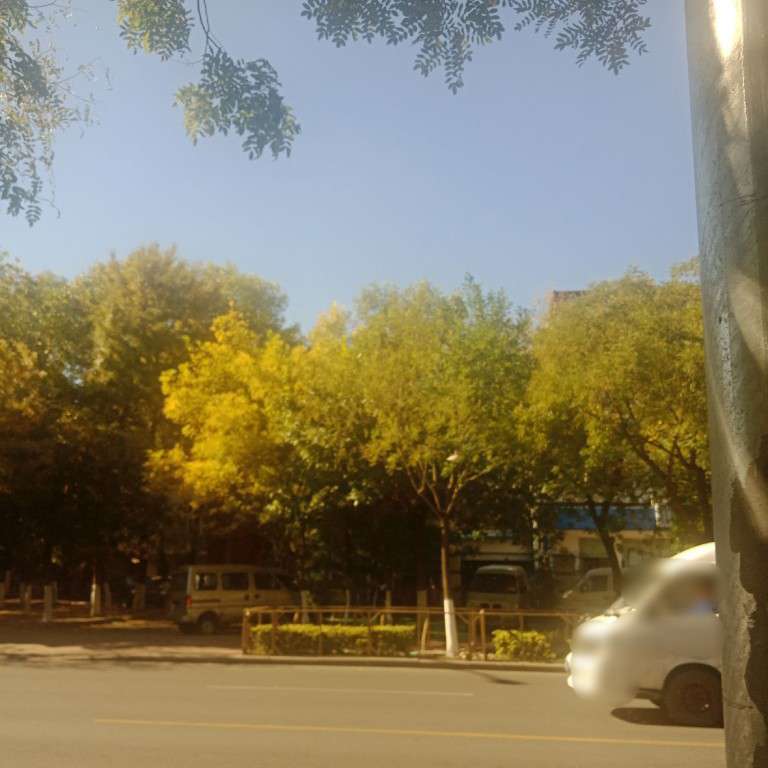 杂七杂八文案专辑