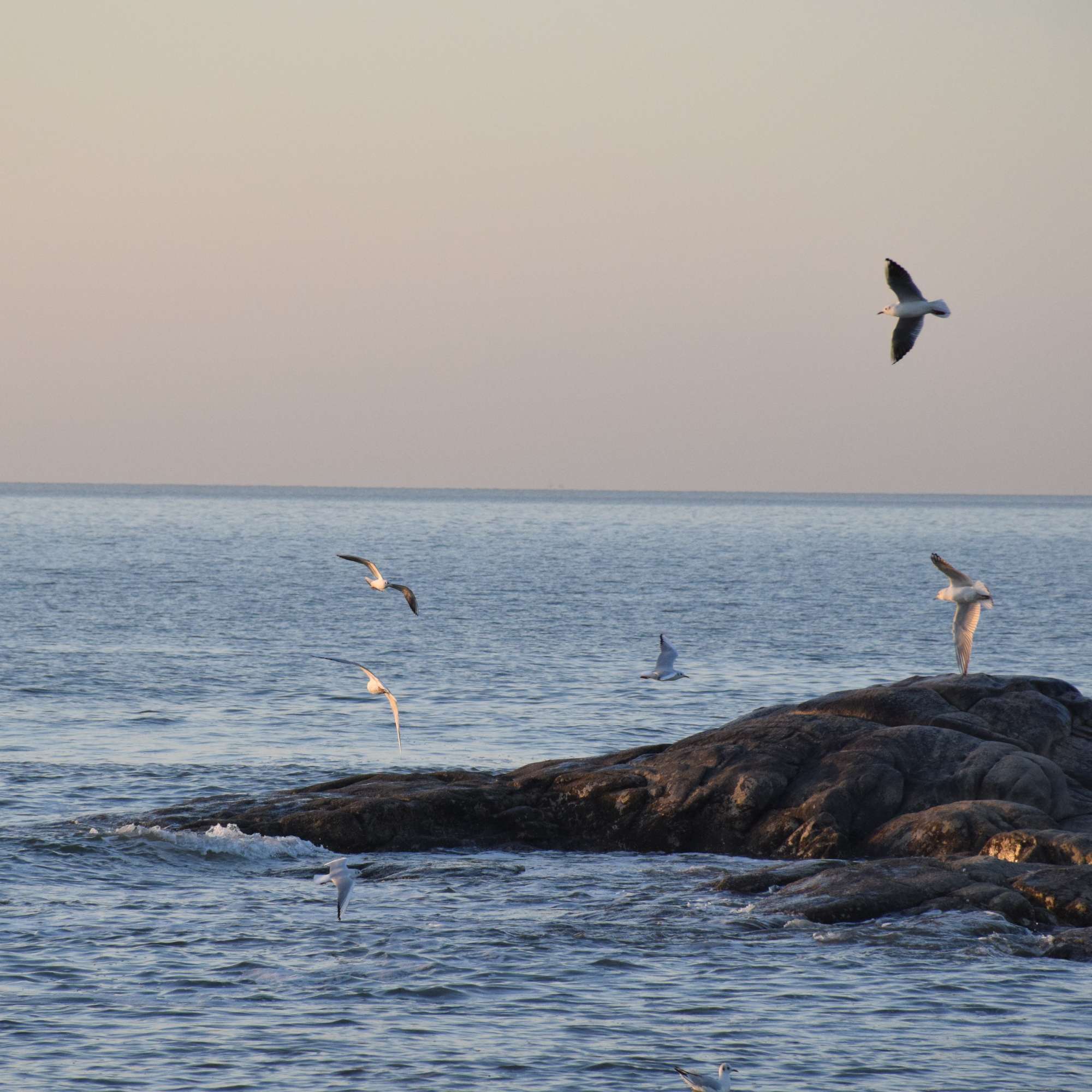 云海小卖铺☁️