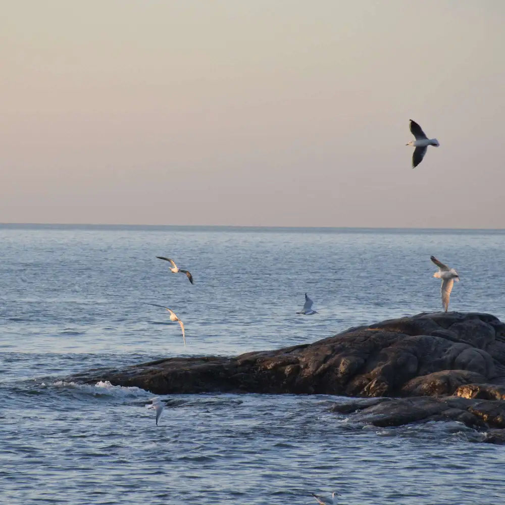 云海小卖铺☁️