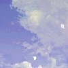 其它
