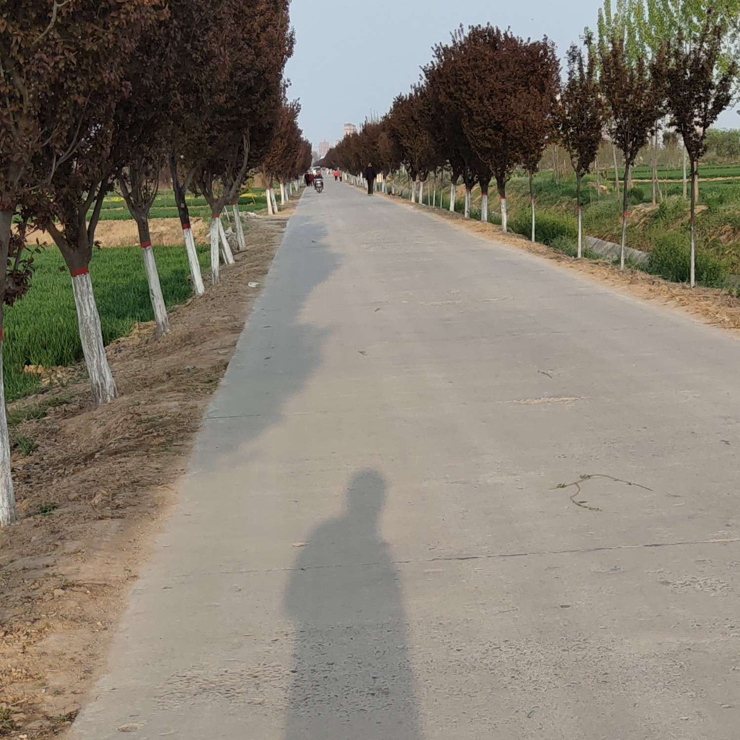 Reluctantly的专辑