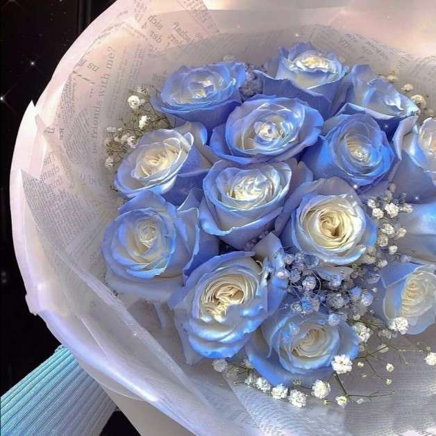 早安的专辑