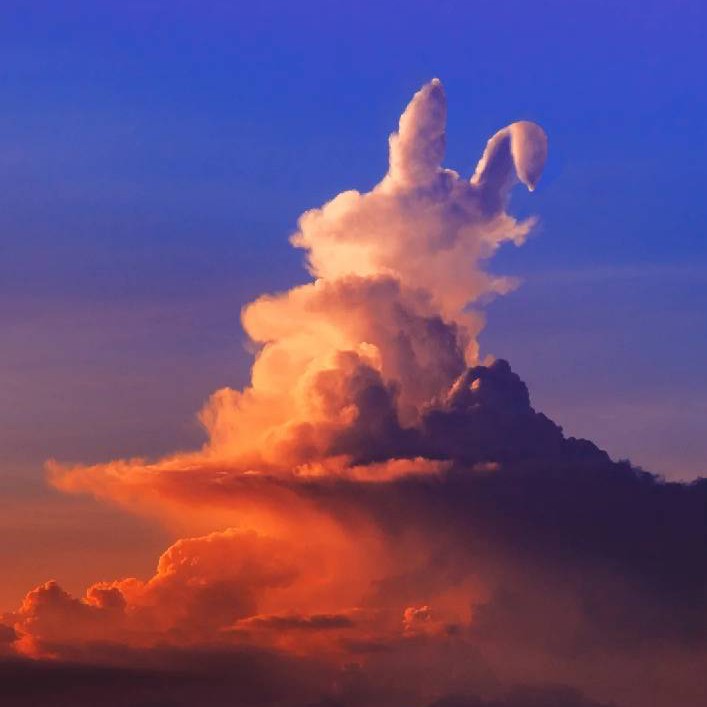 未来可期不可欺