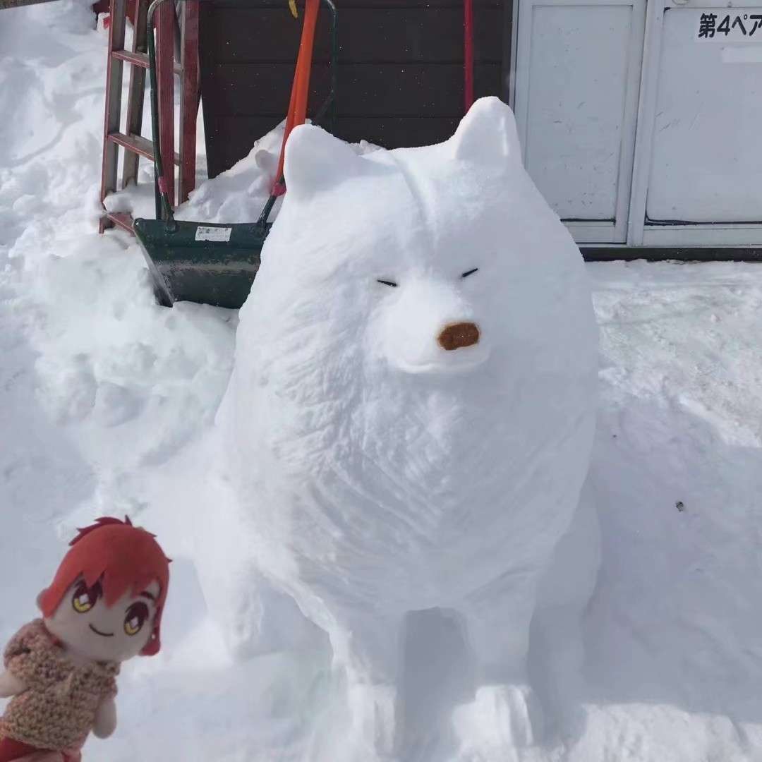 小袁先生的专辑