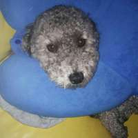 你很久以后才知道的事是什么