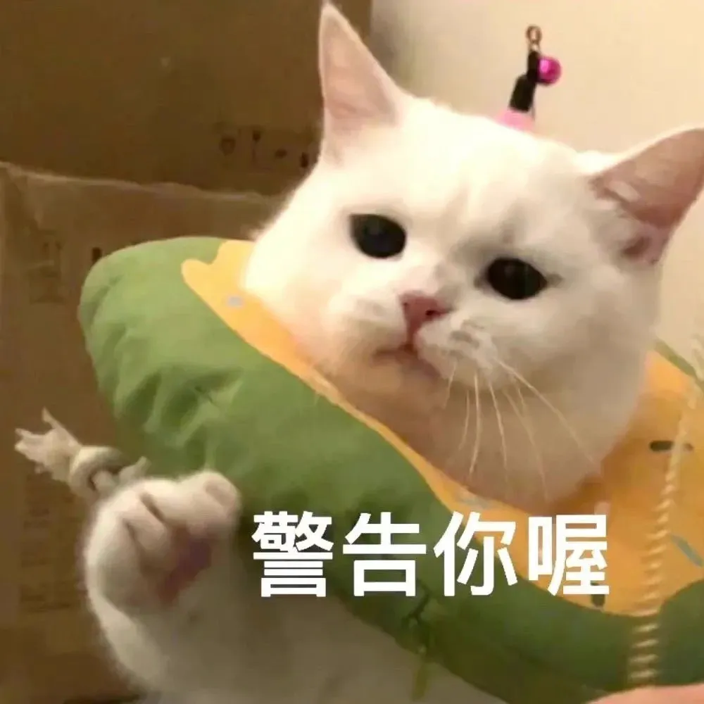 ✪ω✪