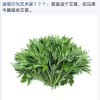 古诗词