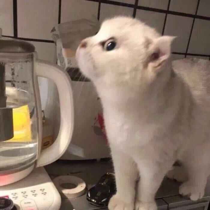 এ᭄晚安千千.۵的收藏夹