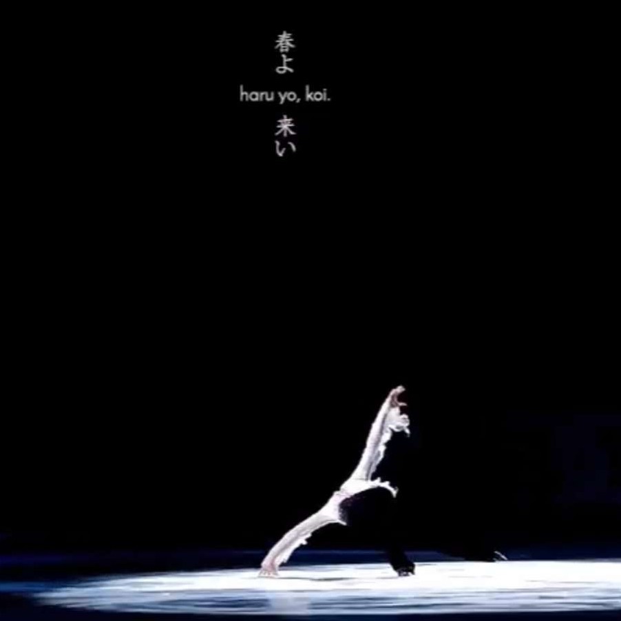 热爱世界无例外