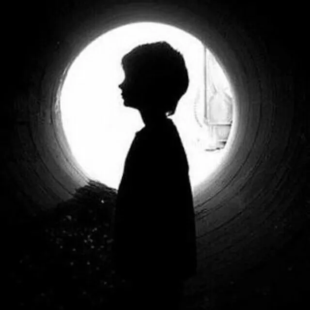 海棠花未眠.的专辑