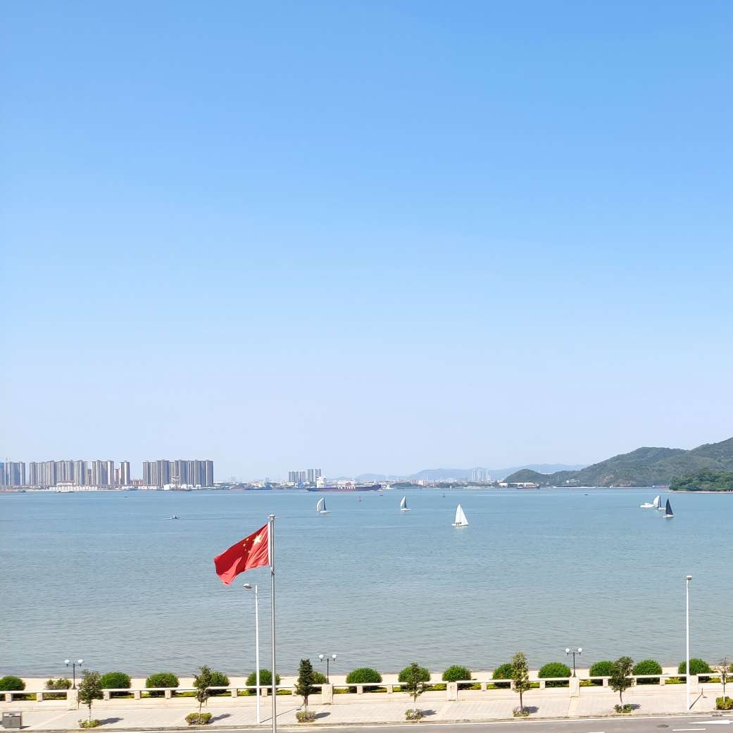 风轻云淡似鸟飞