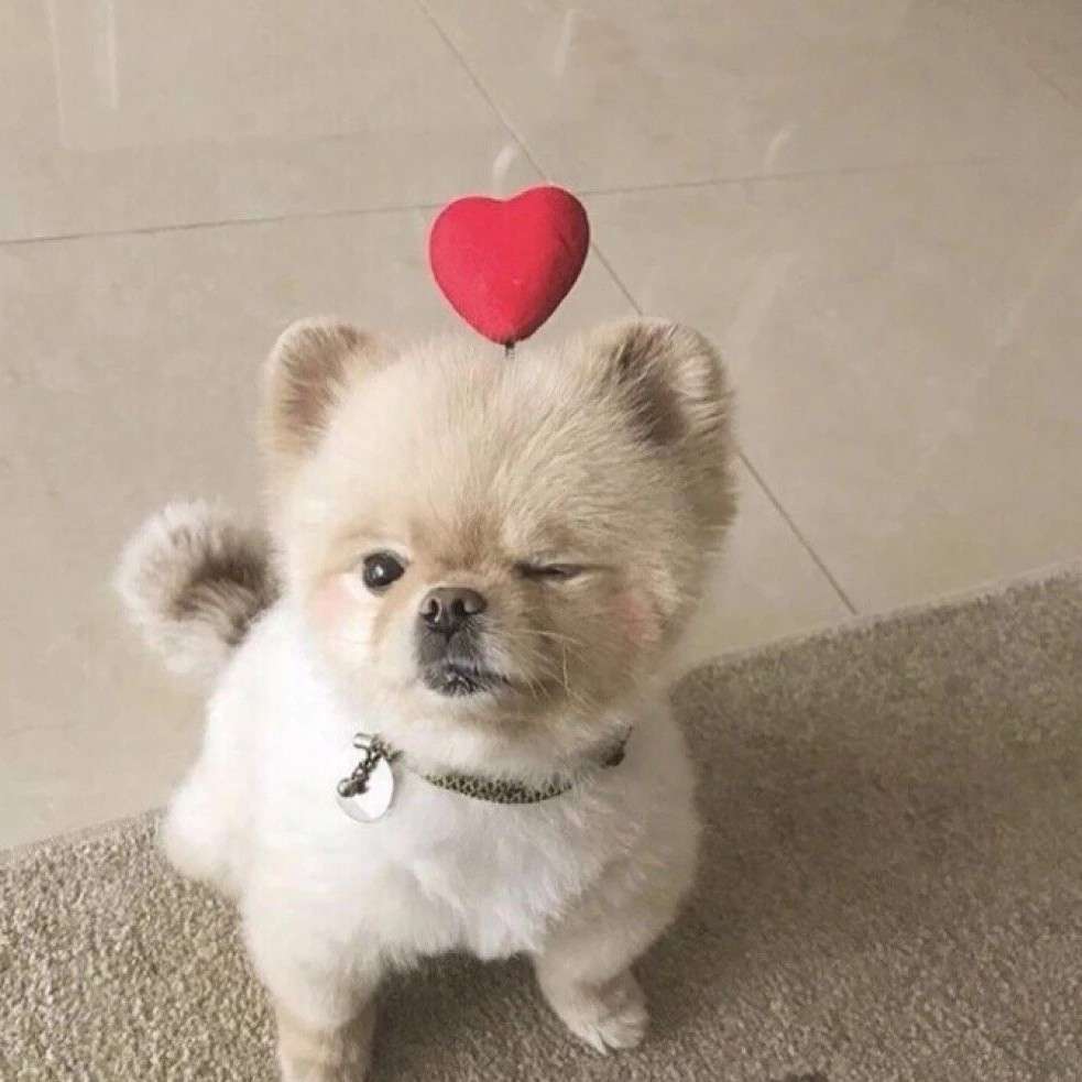 路过心上的句子