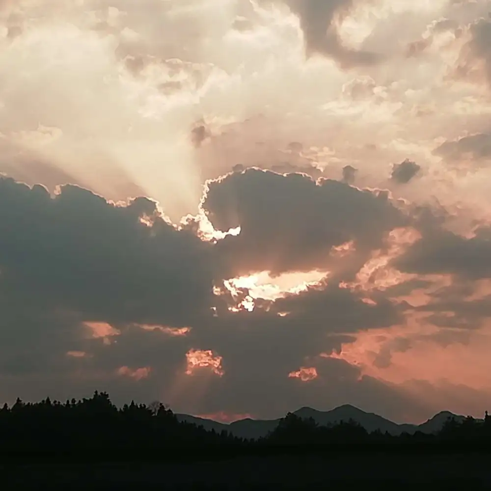 同性恋真的很美好