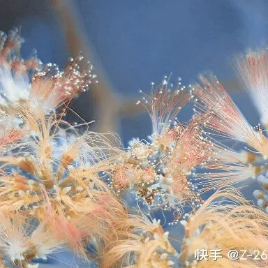 离开前请叫醒我
