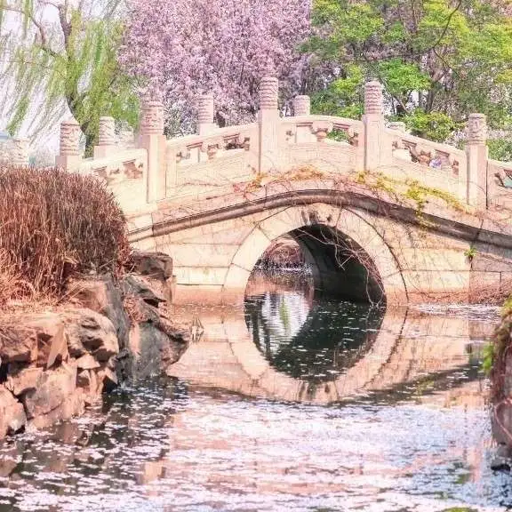我与地坛