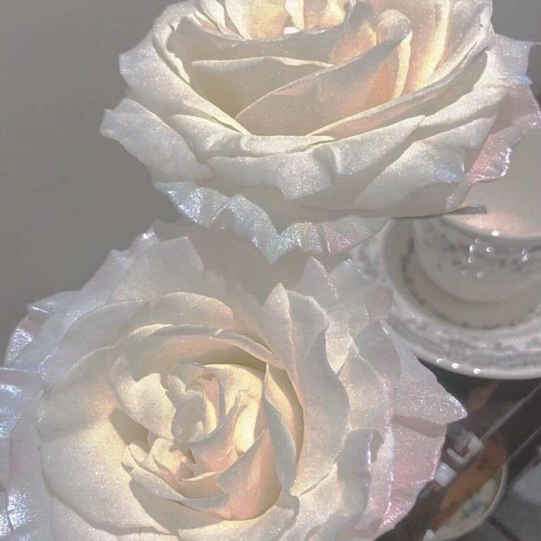 “你也会为我着迷吗'ᴗ'熙/”