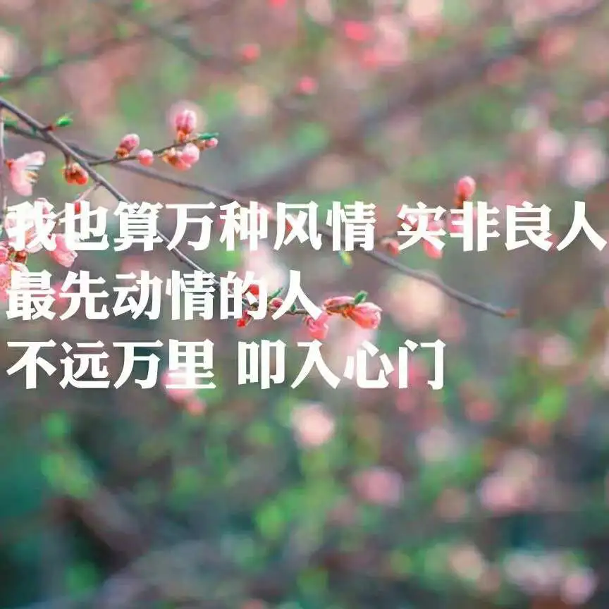 子不语旁观因果