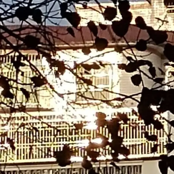 文集