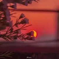 生活的喜乐与哀伤