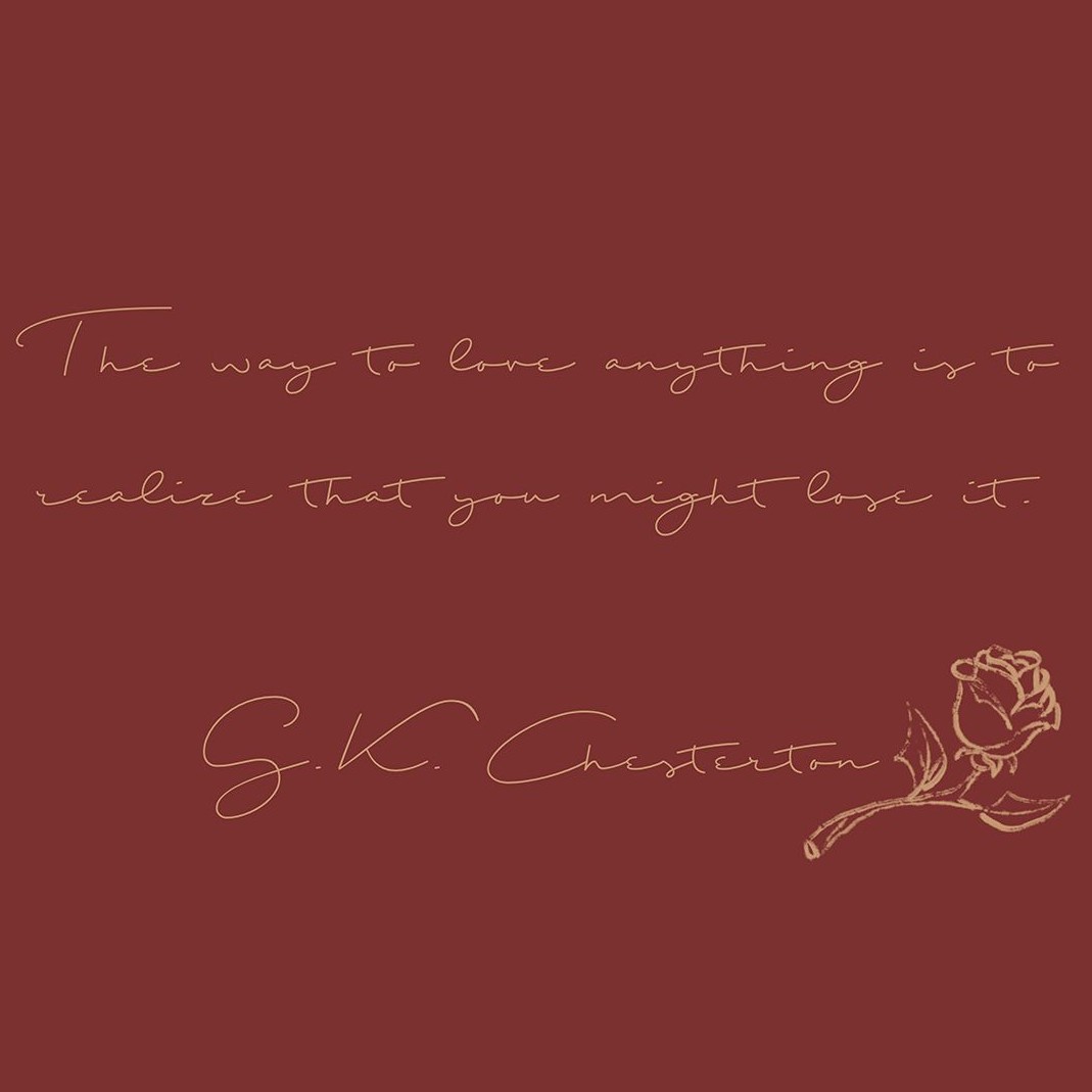 我只喜欢你的人设