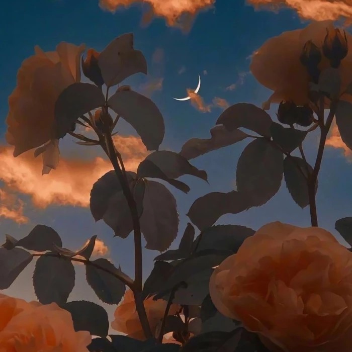 穿堂惊掠琵琶声