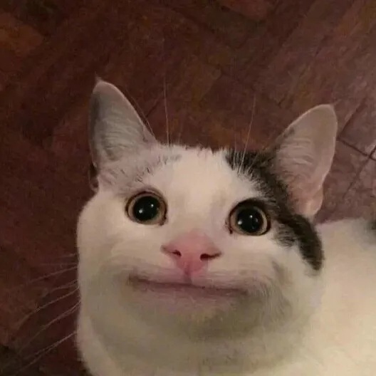 摩羯座