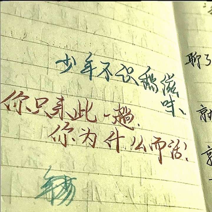 人间青春.