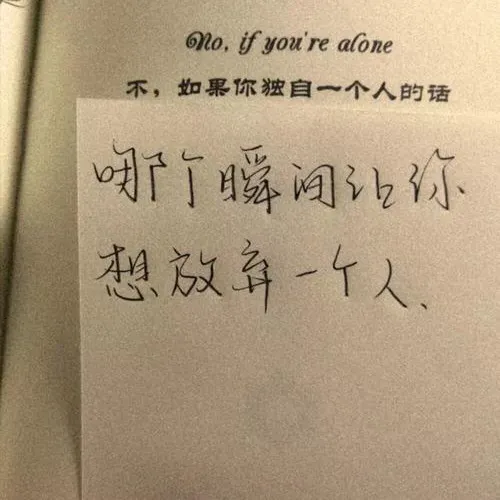 有一天，我看了44次日落