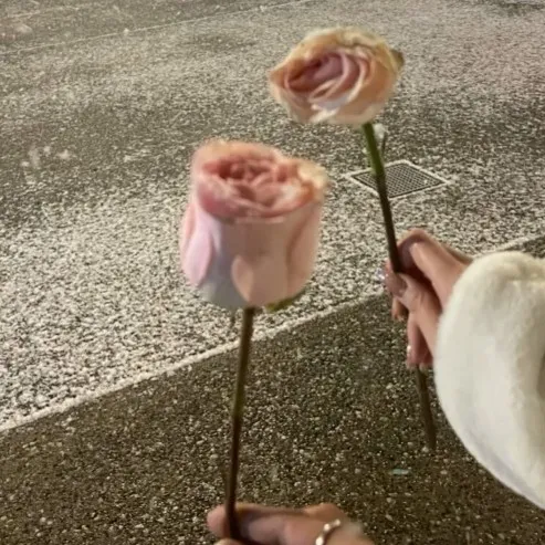 曦月
