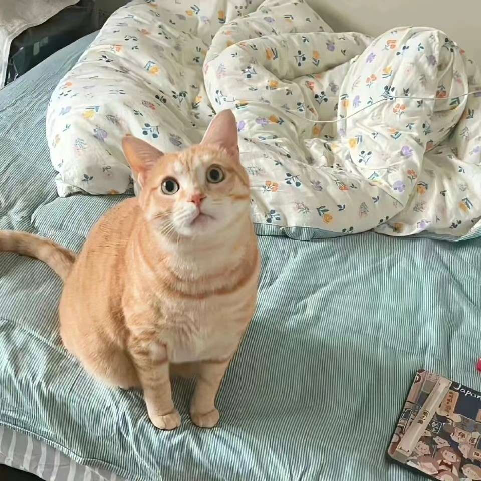 ⌯>ᴗo⌯ .ᐟ.ᐟ