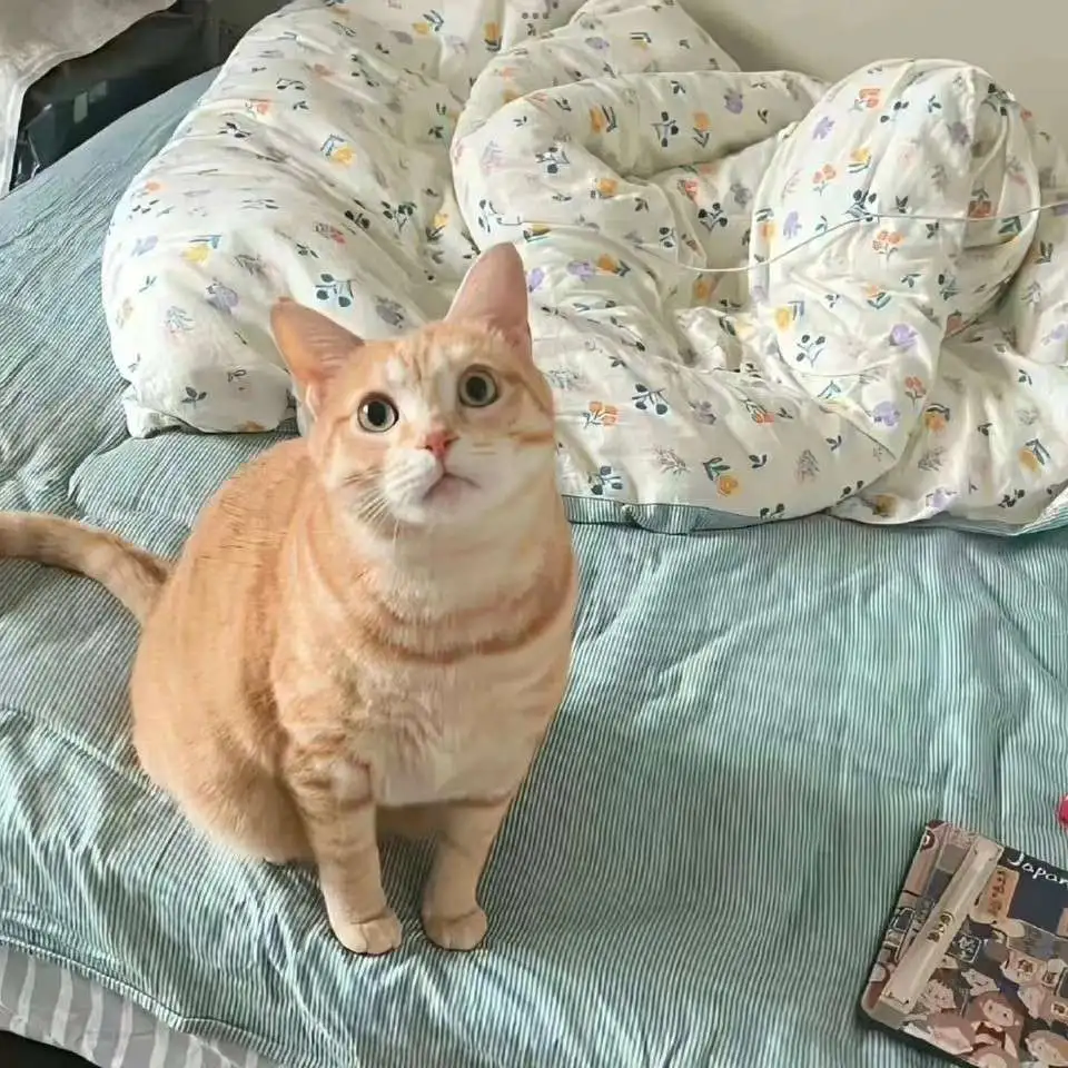 ⌯>ᴗo⌯ .ᐟ.ᐟ