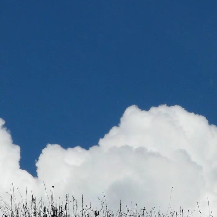 诗词比你更懂我💘