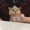 道理