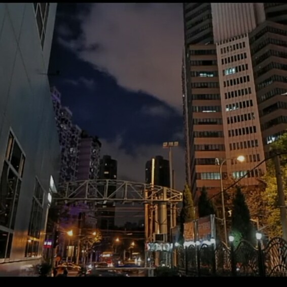 偏爱书籍里的语录