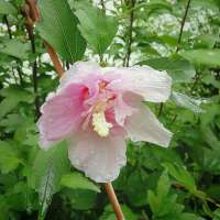 留下你最喜欢的那段