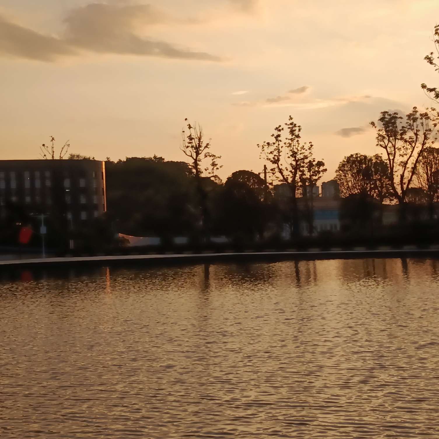 你是这世界的慈悲