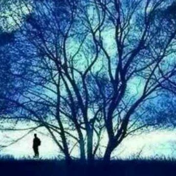 你的故事里没有我的专辑