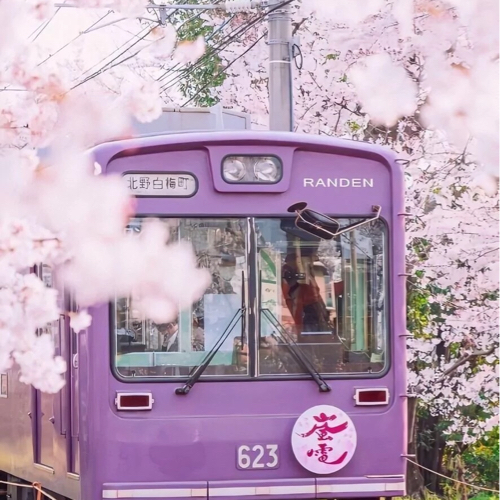 如果可以，请努力。