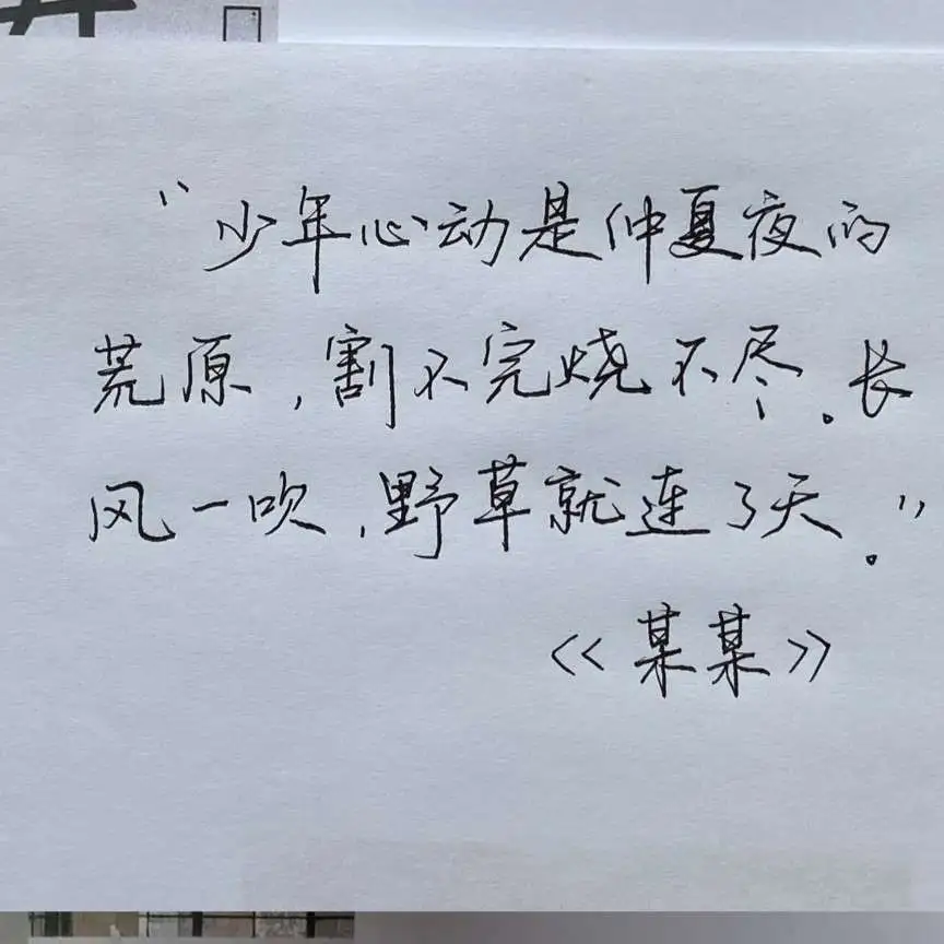 S.🐚的专辑
